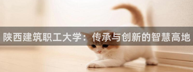 顺盈娱乐主管是谁