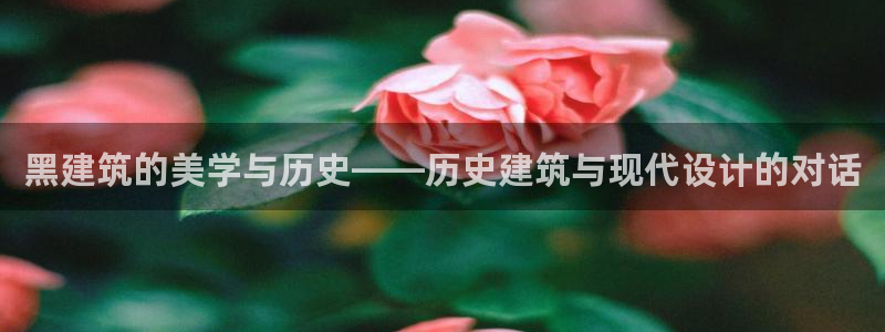 顺盈娱乐招商左原判官333OO：黑建筑的美学与历史——历史建筑与现代设计的对话