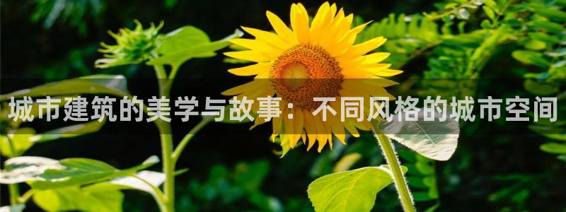 顺盈娱乐团购：城市建筑的美学与故事：不同风格的城市空间