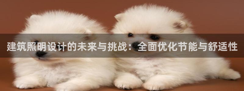 顺盈娱乐认究7276O：建筑照明设计的未来与挑战：全面优化节能与舒适性