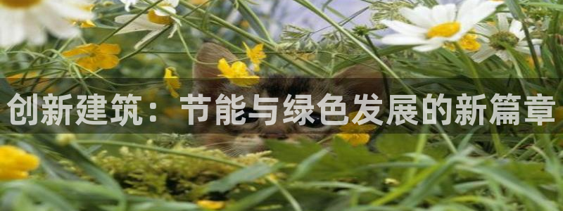 顺盈娱乐注册官网