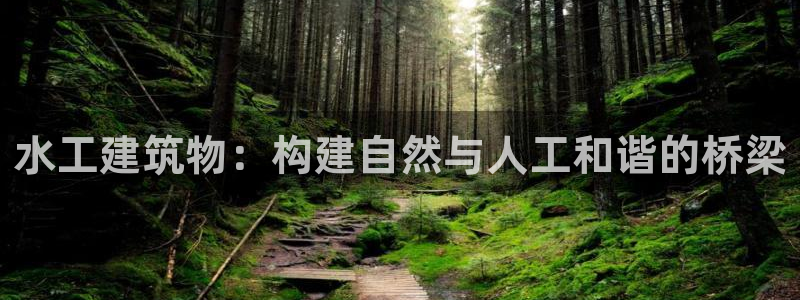 顺盈娱乐注册登录平台