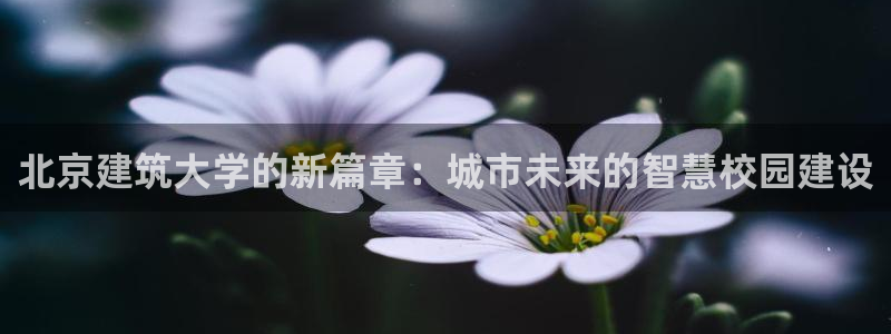 清远顺盈娱乐怎么样啊