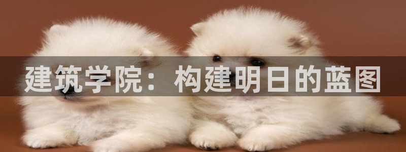 顺盈娱乐平台注册地址：建筑学院：构建明日的蓝图
