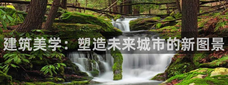 顺盈娱乐注册平台官网