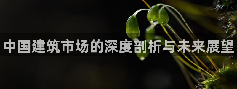 顺盈娱乐平台下载安装