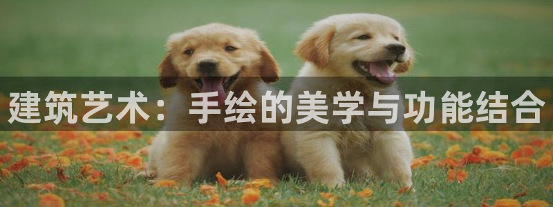 顺盈娱乐官网