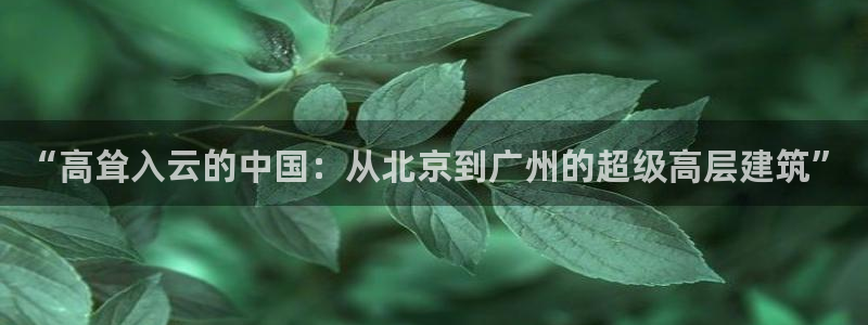 顺盈娱乐下载官网最新版