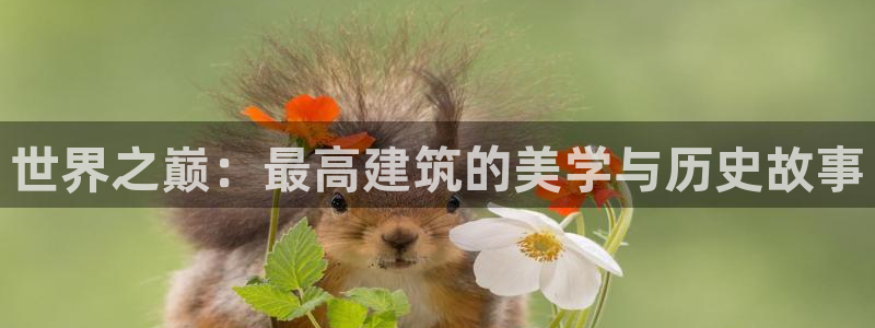 顺盈娱乐招商下原判官333OO