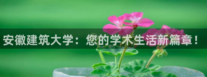 顺盈娱乐28是什么意思