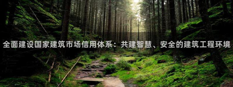 顺盈娱乐28是什么?
