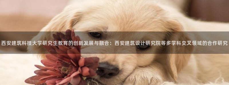 清远顺盈娱乐集团面试：西安建筑科技大学研究生教育的创新发展与融合：西安建筑设计研究院等多学科交叉领域
