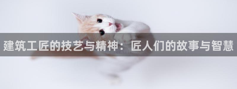 顺盈娱乐登录平台