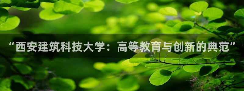 顺盈娱乐主管怎么样知乎