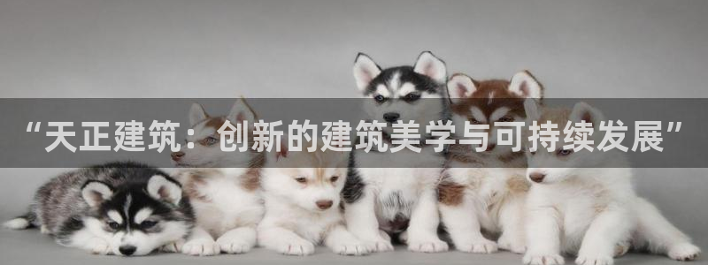 清远顺盈娱乐酒店推荐