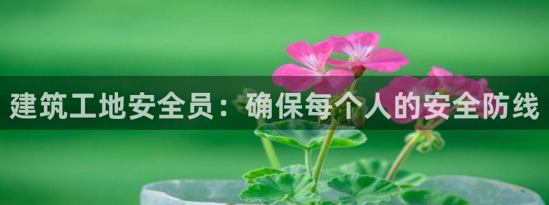 顺盈娱乐登录地址是什么