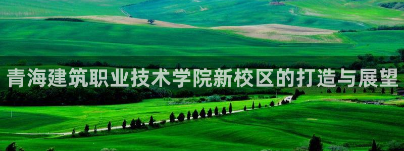 顺盈娱乐团购怎么样