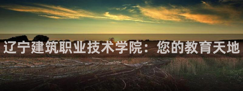 顺盈娱乐找382223：辽宁建筑职业技术学院：您的教育天地