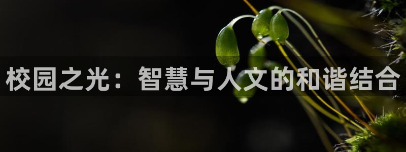 顺盈2娱乐在线教育