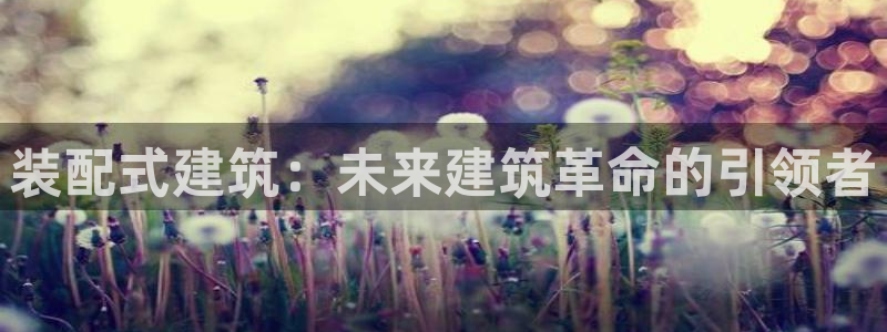 顺盈娱乐市究7276O