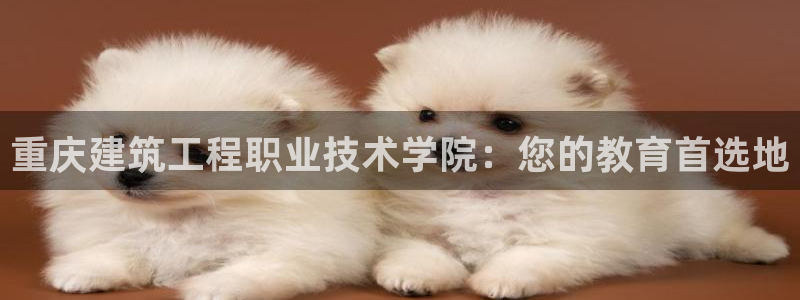 顺盈娱乐主管刘判官333OO