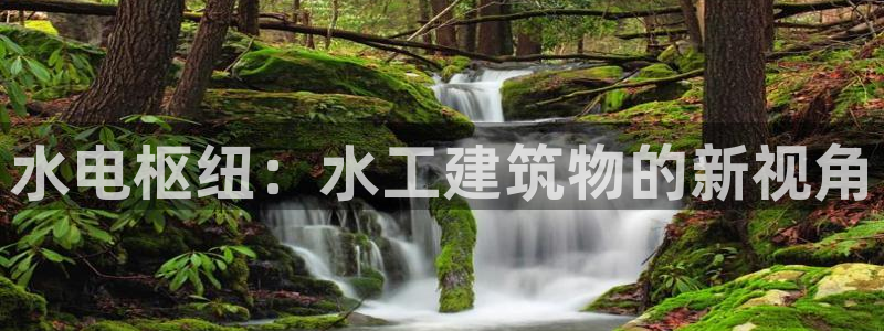 顺盈娱乐注册q779O3唐老鸭