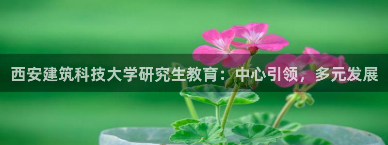 顺盈娱乐主管吉判官333OO