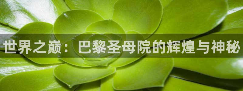 盈顺棋牌娱乐室地址