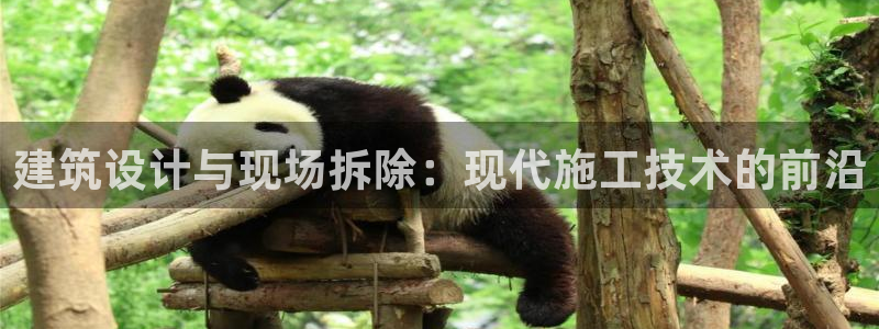 顺盈娱乐招商右原判官333OO