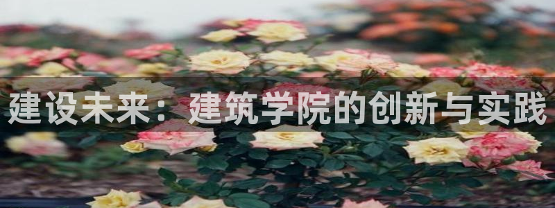顺盈娱乐主管欲新判官333OO：建设未来：建筑学院的创新与实践