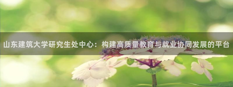顺盈娱乐直究7276O：山东建筑大学研究生处中心：构建高质量教育与就业协同发展的平台