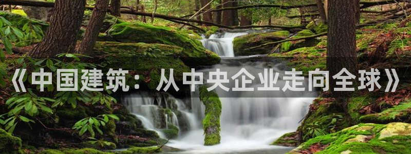 顺盈娱乐网址