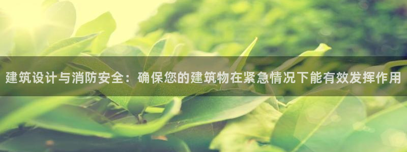 顺盈2娱乐登录：建筑设计与消防安全：确保您的建筑物在紧急情况下能有效发挥作用